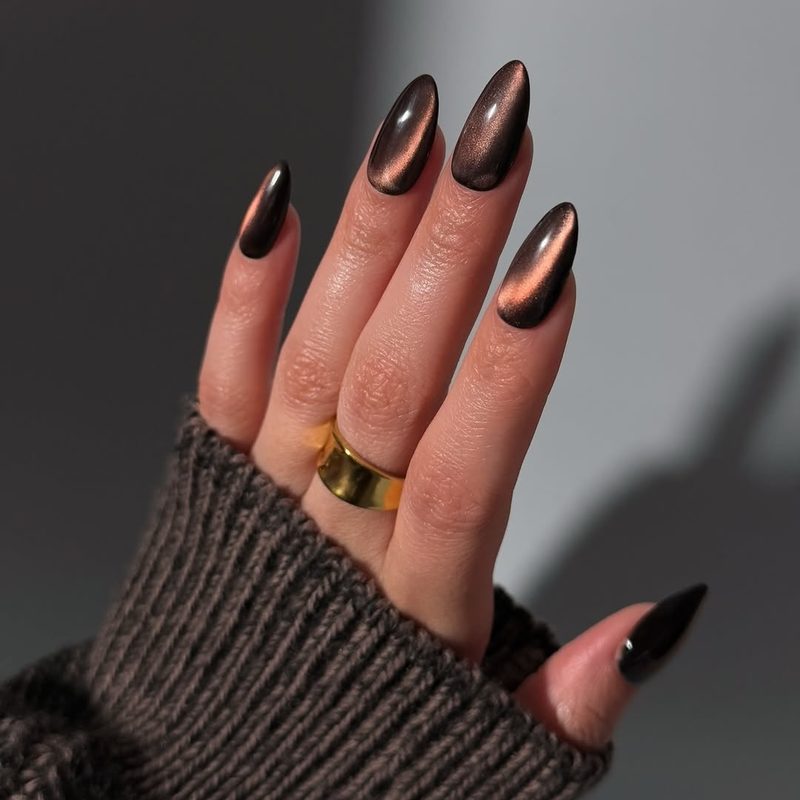 magnetic cat eye nails design